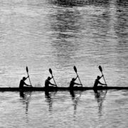 ignartonosbg-rowing-8135184_1920